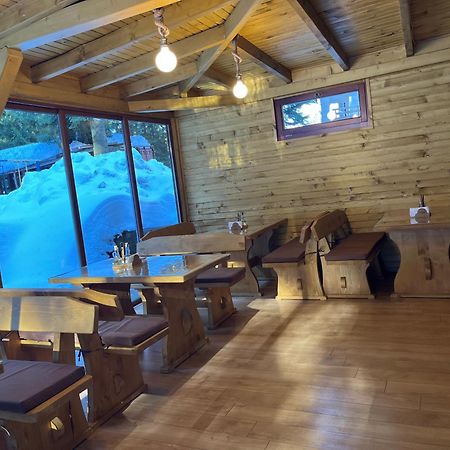 Villa Ibar Borovec Kültér fotó